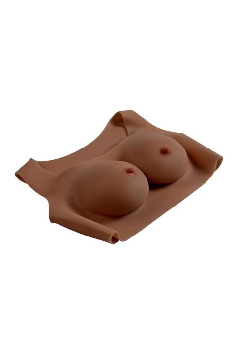 GENDER X UNDERGARMENTS - PLATE C-CUP DARK Gender X