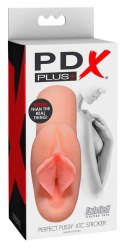PDX Plus PP XTC Stroker PDX Plus