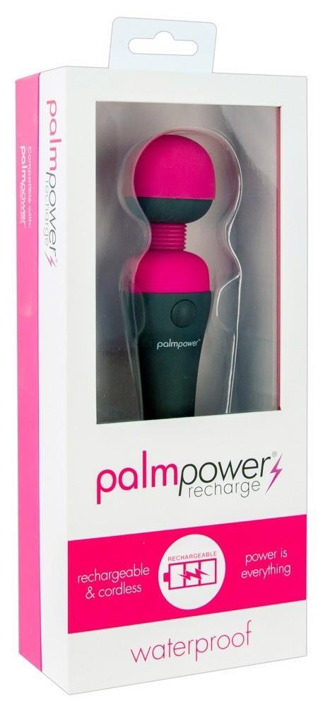Palm Power recharge Palmpower