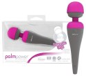 PalmPower Massager Palmpower