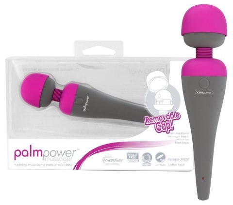 PalmPower Massager Palmpower