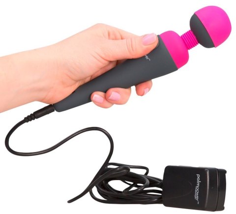 PalmPower Massager Palmpower