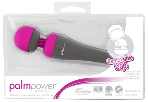PalmPower Massager Palmpower
