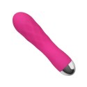 Wibrator z dwoma silnikami Leten Pro Delight różowy USB 12,5 cm Leten