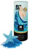 Orientalne Kryształy Oceanu Shunga