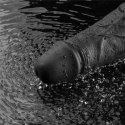 10" REAL SOFTEE Rechargeable TPE Vibrating Dildo(Black)