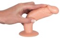 Zestaw dildosów analnych treningowych You2Toys TPE You2Toys