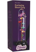 Everlasting Bloom Dong
