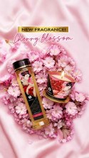 Shunga Erotic Massage Oil Cherry Blossom