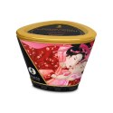 Shunga Massage Candle - Cherry Blossom