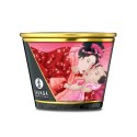 Shunga Massage Candle - Cherry Blossom