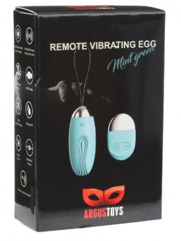 Wibrujące jajko zdalne Argus miętowozielone USB 8 cm Argus