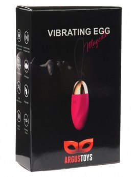 Jajko wibrujące Argus 10 trybów USB magenta Argus