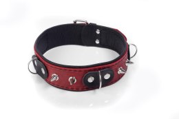 Obroża skórzana Crazy Horse Whips Collection czerwona Small Whips Collection