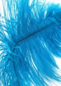 Double Feather Tickler Blue Hidden Desire