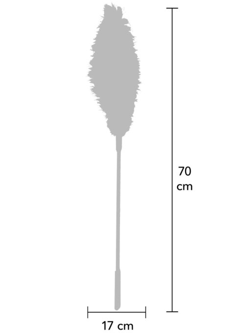 Double Feather Tickler Blue Hidden Desire
