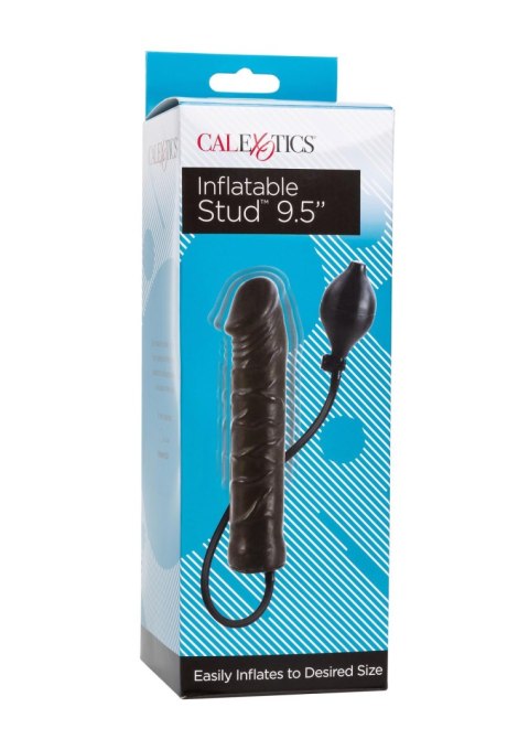 Plug analny pompowany lateksowy Calexotics czarny 24 cm CalExotics