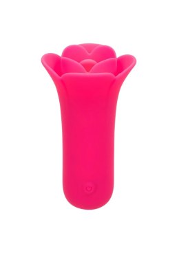 Stymulator łechtaczki Calexotics Lily Licker Mini różowy USB 9,5 cm CalExotics