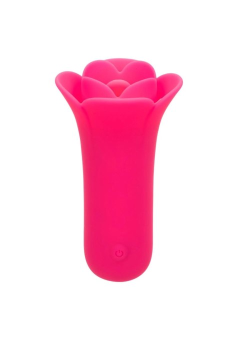 Stymulator łechtaczki Calexotics Lily Licker Mini różowy USB 9,5 cm CalExotics