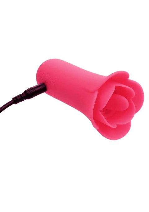 Stymulator łechtaczki Calexotics Lily Licker Mini różowy USB 9,5 cm CalExotics