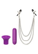 Zestaw wibracyjny Passion Collection Calexotics fioletowy USB CalExotics