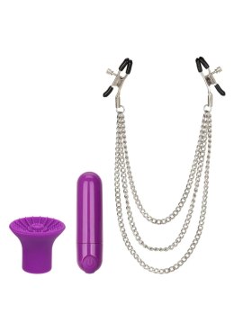 Zestaw wibracyjny Passion Collection Calexotics fioletowy USB CalExotics