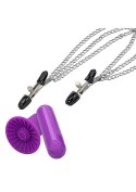 Zestaw wibracyjny Passion Collection Calexotics fioletowy USB CalExotics