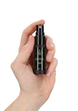 Opóźniający spray Cannabis z olejem konopnym Pharmquests 15 ml Pharmquests