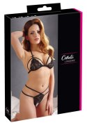 Komplet koronkowy Cottelli LINGERIE czarny M Cottelli LINGERIE