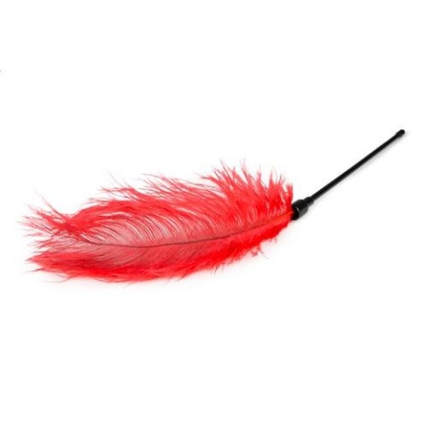 Pejcz z piórkiem EasyToys czerwony 54 cm Easytoys