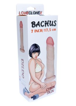 Dildo-BACHUS-LOVECLONEX 7