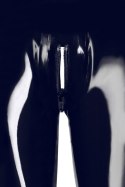 Latex Leggings XL Late X