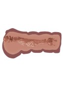 Masturbator Super Wet Travel Beaver Hidden Desire brązowy 13.5 cm Hidden Desire