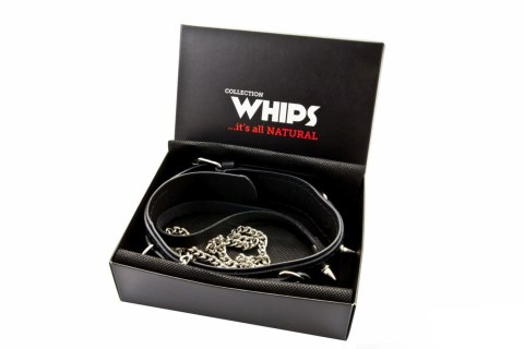 Obroża męska Whips Collection z półkółkami i smyczą Whips Collection