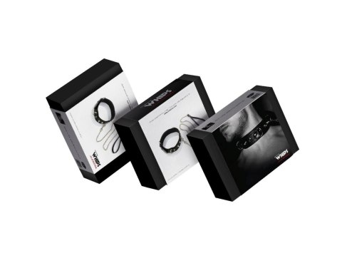 Obroża męska Whips Collection z półkółkami i smyczą Whips Collection